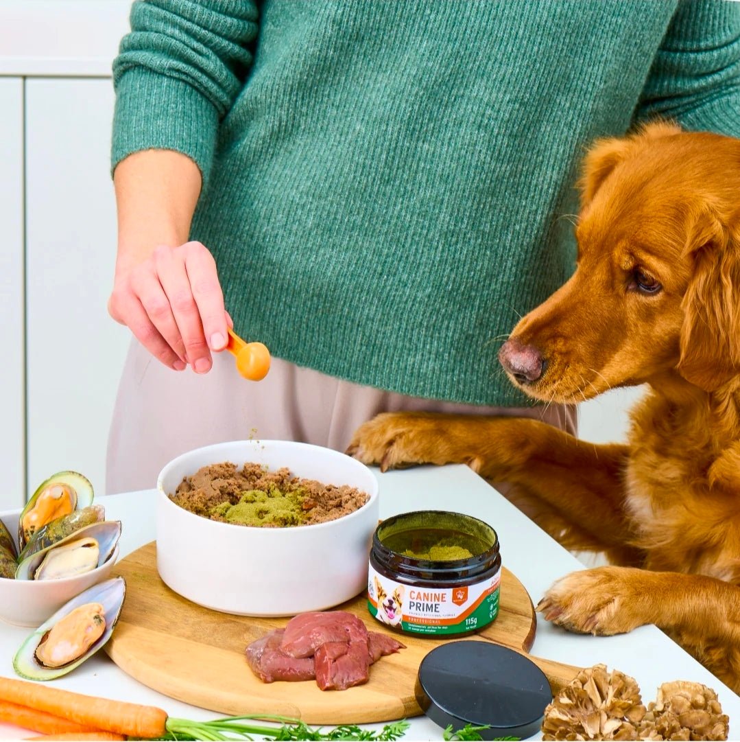 Canine Prime 40-in-1 superfood supplement | Luxury Home Accessories | Heulog Glow