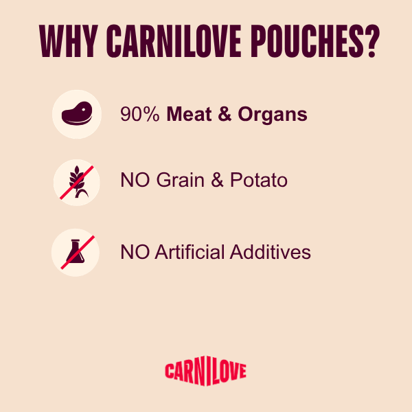 Carnilove Gravy Multipack Cat (12x85g) | Luxury Home Accessories | Heulog Glow