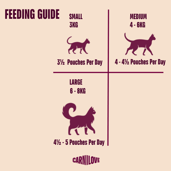 Carnilove Jelly Multipack Cat (12x85g) | Luxury Home Accessories | Heulog Glow