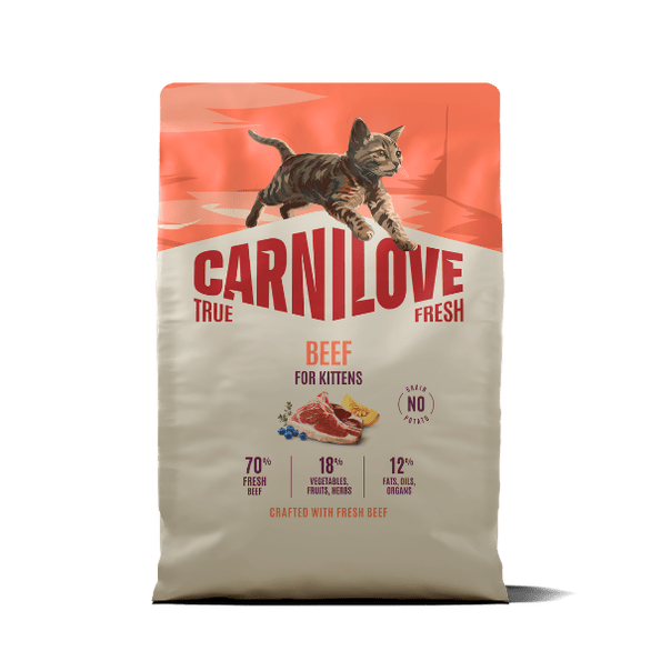 Carnilove True Fresh Beef Kitten 2kg | Luxury Home Accessories | Heulog Glow
