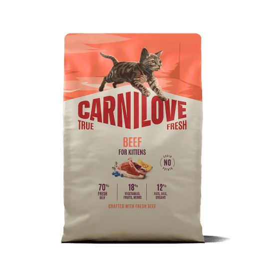 Carnilove True Fresh Beef Kitten 400g | Luxury Home Accessories | Heulog Glow