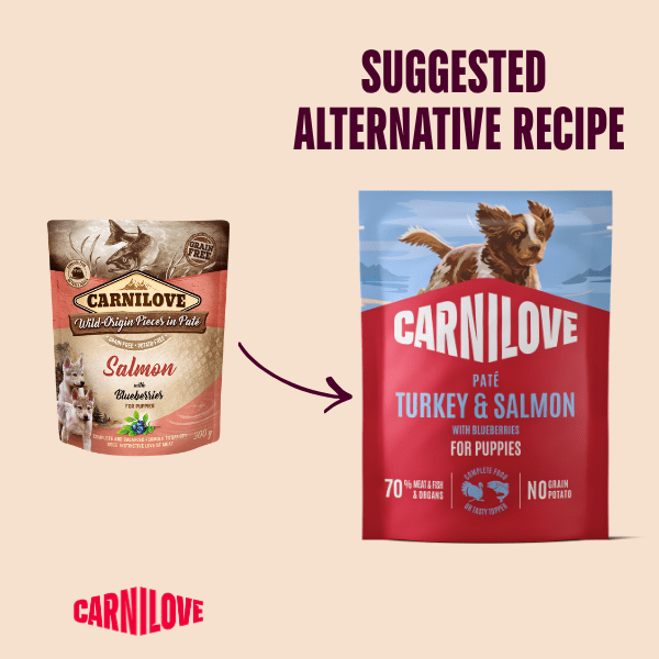 Carnilove Turkey & Salmon with Blueberries Puppy Dog 300G | Luxury Home Accessories | Heulog Glow
