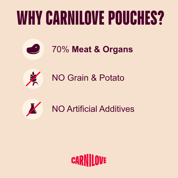 Carnilove Turkey & Venison with Strawberry Leaves Dog 300g | Luxury Home Accessories | Heulog Glow