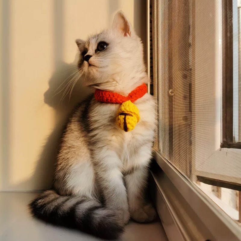 Cat British Short Wool Cute Collar | Luxury Home Accessories | Heulog Glow