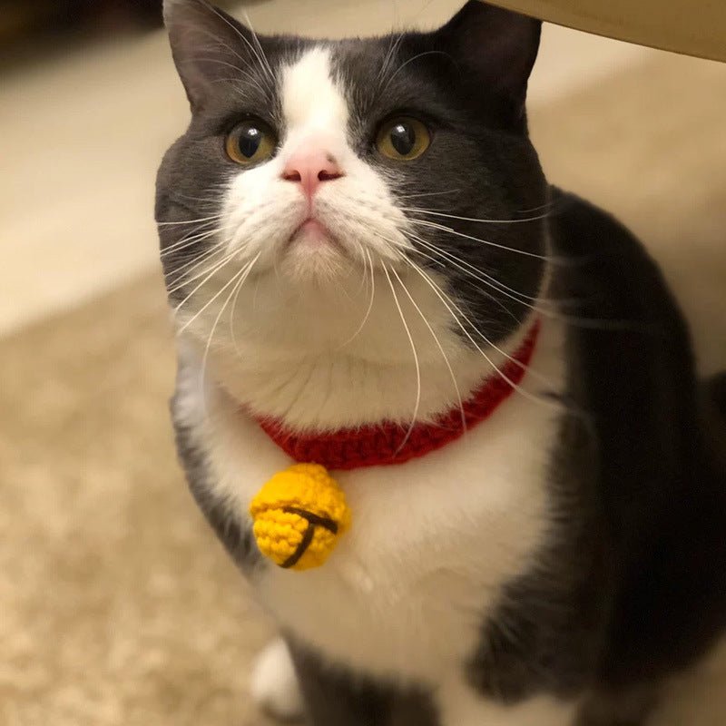 Cat British Short Wool Cute Collar | Luxury Home Accessories | Heulog Glow