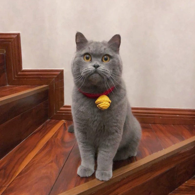 Cat British Short Wool Cute Collar | Luxury Home Accessories | Heulog Glow