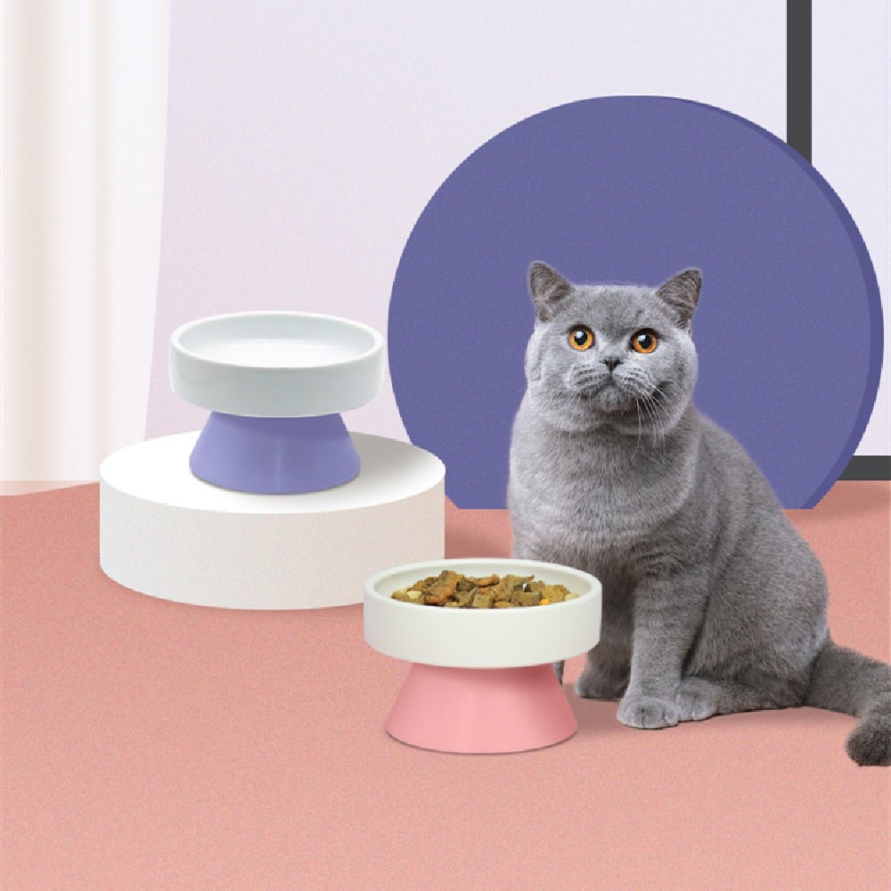 Cat Ceramic Heightened Neck Guard Wide Mouth Bowl Drinking Water | Luxury Home Accessories | Heulog Glow