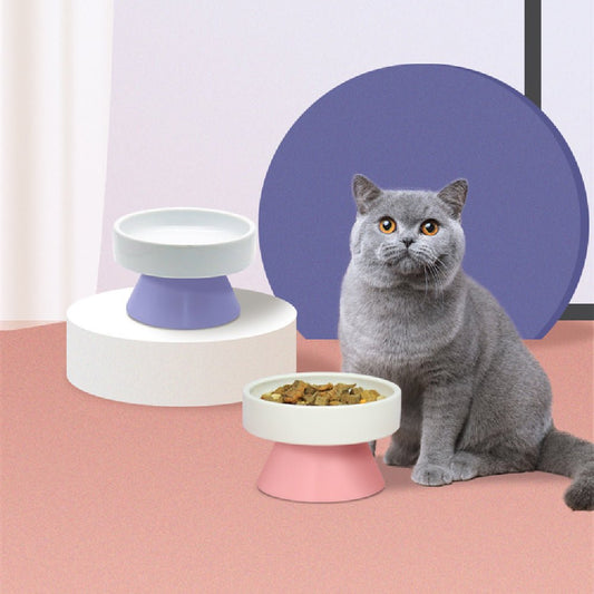 Cat Ceramic Heightened Neck Guard Wide Mouth Bowl Drinking Water | Luxury Home Accessories | Heulog Glow