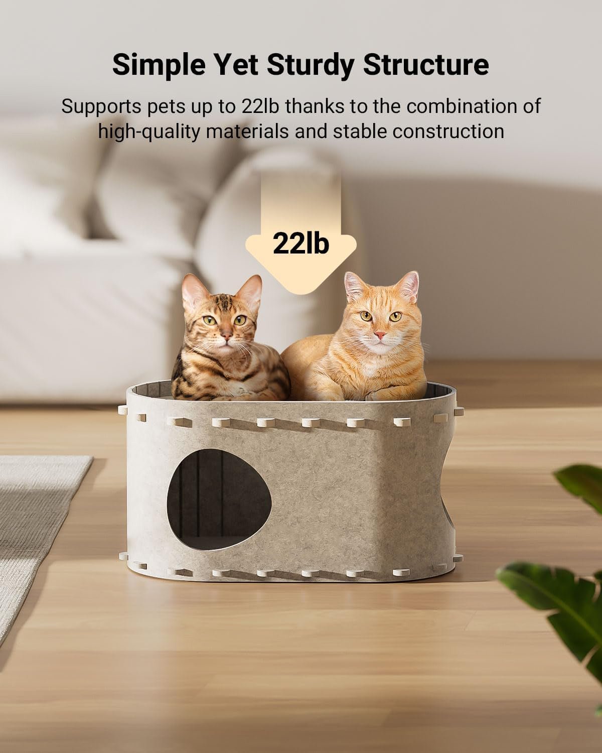 Cat House For Indoor Cats Cat Bed Cave For Multiple Scratch Resistant Peekaboo Cat Caves Foldable Cat Tunnel Enclosed Bed | Luxury Home Accessories | Heulog Glow