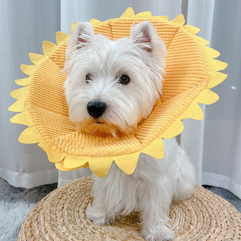 Cat Neck Ornaments Small Dogs Medium-sized Anti-licking Headgear Soft Shame Circle | Luxury Home Accessories | Heulog Glow