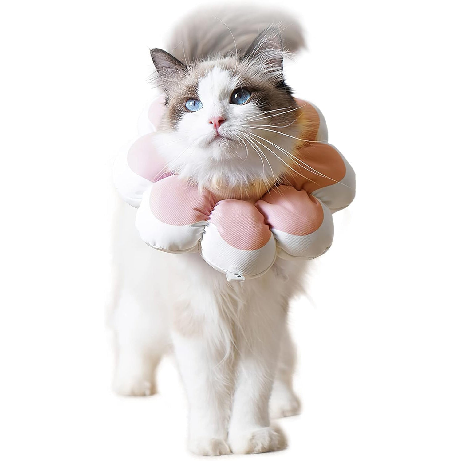 Cat Recovery Cone Collar Pet E-Collar Elizabethan Collar After Surgery Recovery Pet Cone For Cat Puppy Breathable Soft Edge And Easy To Clean | Luxury Home Accessories | Heulog Glow