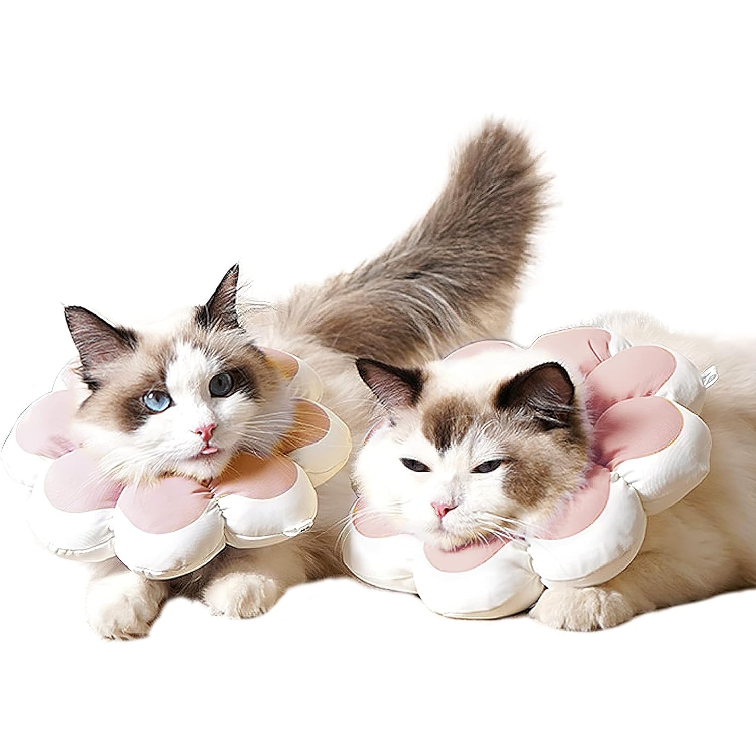 Cat Recovery Cone Collar Pet E-Collar Elizabethan Collar After Surgery Recovery Pet Cone For Cat Puppy Breathable Soft Edge And Easy To Clean | Luxury Home Accessories | Heulog Glow