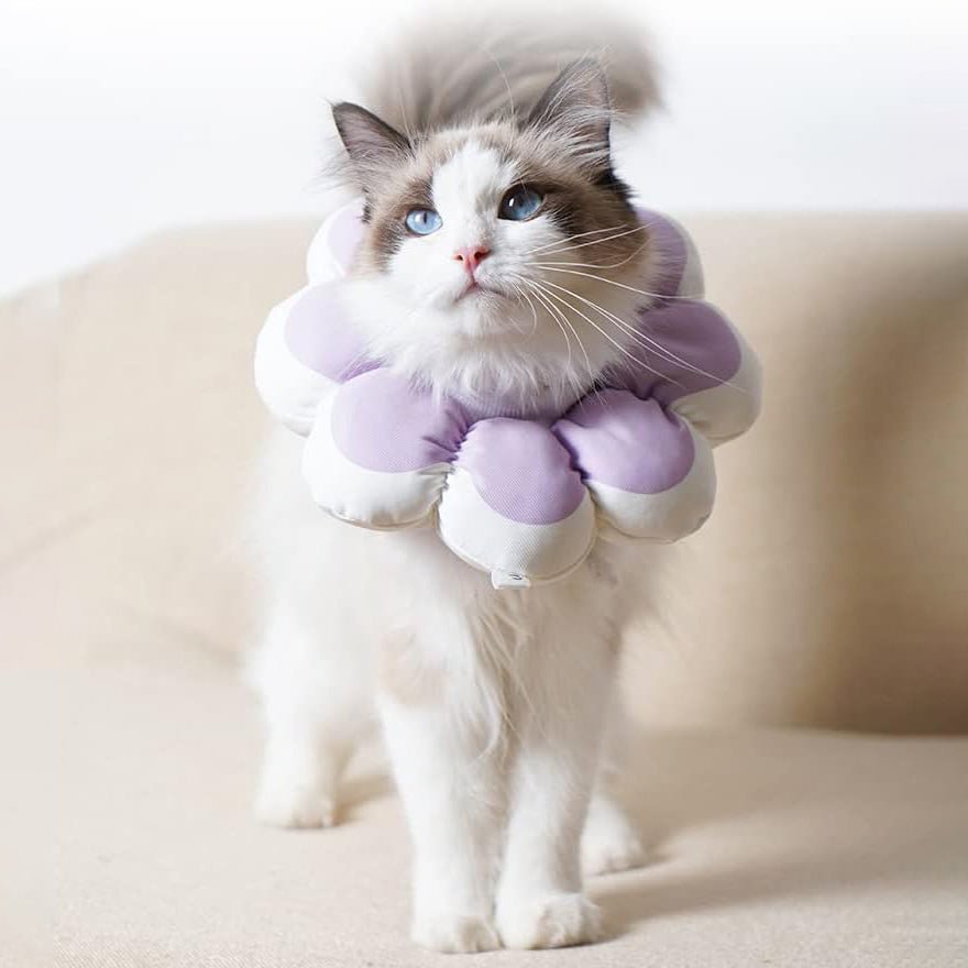Cat Recovery Cone Collar Pet E-Collar Elizabethan Collar After Surgery Recovery Pet Cone For Cat Puppy Breathable Soft Edge And Easy To Clean | Luxury Home Accessories | Heulog Glow