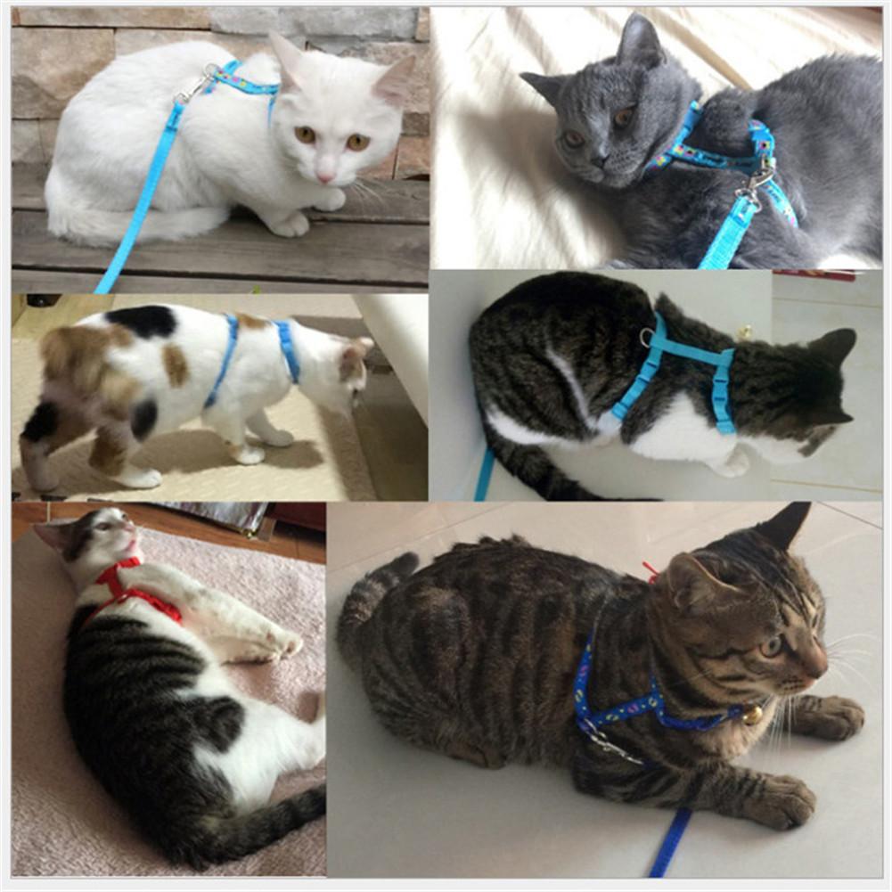 Cat small vest type towing rope | Luxury Home Accessories | Heulog Glow