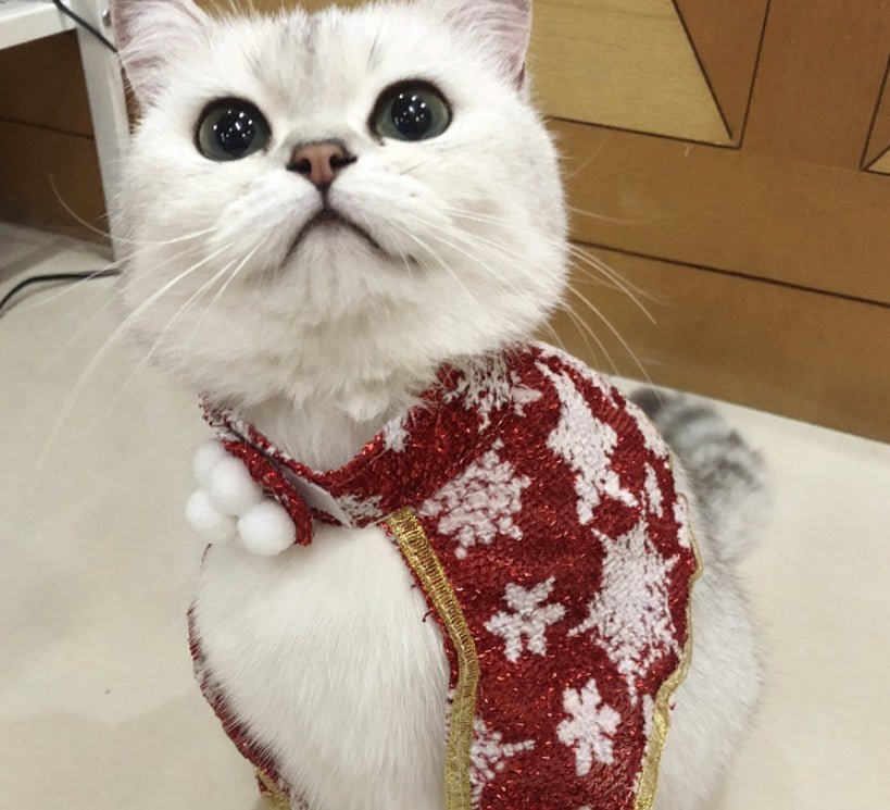 Cat Small White Floral Striped Top Dog Snowflake Festive Cloak | Luxury Home Accessories | Heulog Glow