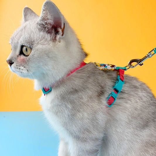 Cat Traction Rope To Prevent Small Dogs From Breaking Free | Luxury Home Accessories | Heulog Glow