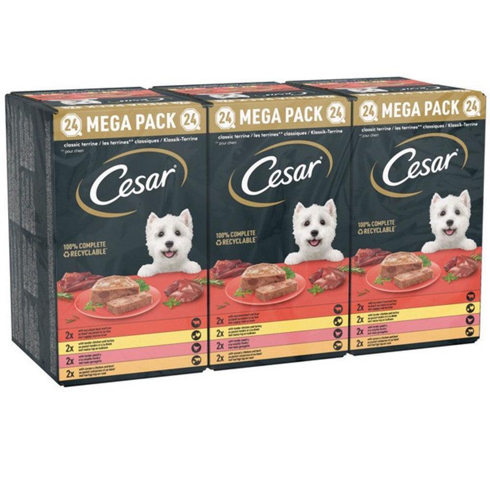 Cesar Classics Terrine Mixed Selection 24x150g | Luxury Home Accessories | Heulog Glow