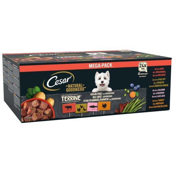 Cesar Natural Goodness Mixed Selection in Loaf 24 x 100g | Luxury Home Accessories | Heulog Glow