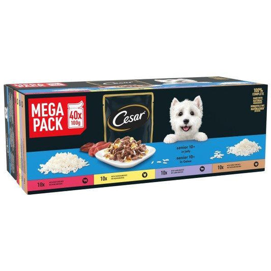 Cesar Pch Senior 10+ Sauce Jel 40x100g | Luxury Home Accessories | Heulog Glow