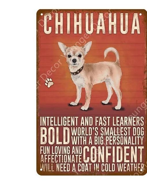 Chihuahua Dog Tin Sign | Luxury Home Accessories | Heulog Glow