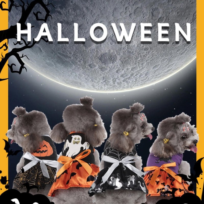 Christmas Dog Supplies Witch Dog Clothing Bat | Luxury Home Accessories | Heulog Glow