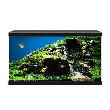 Ciano Aquarium 60 LED Black 58L | Luxury Home Accessories | Heulog Glow