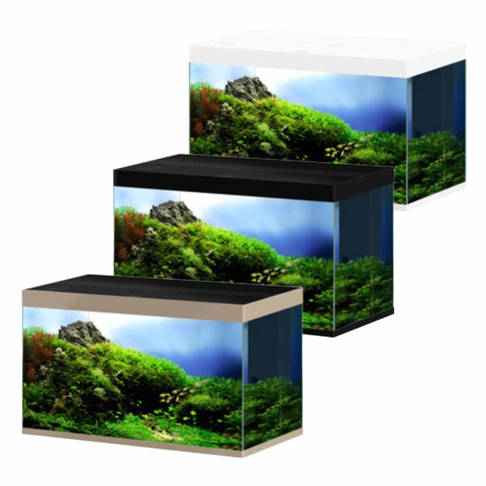 Ciano EN Pro 100 Deep Aquarium | Luxury Home Accessories | Heulog Glow