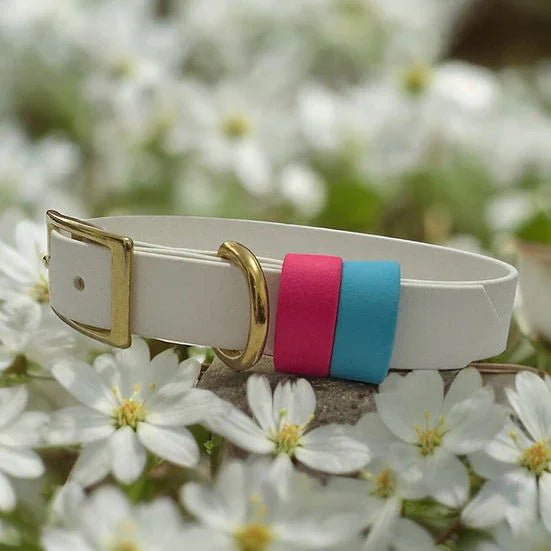 Classic Biothane with double keep - Handmade Classic Biothane Dog Collar | Luxury Home Accessories | Heulog Glow