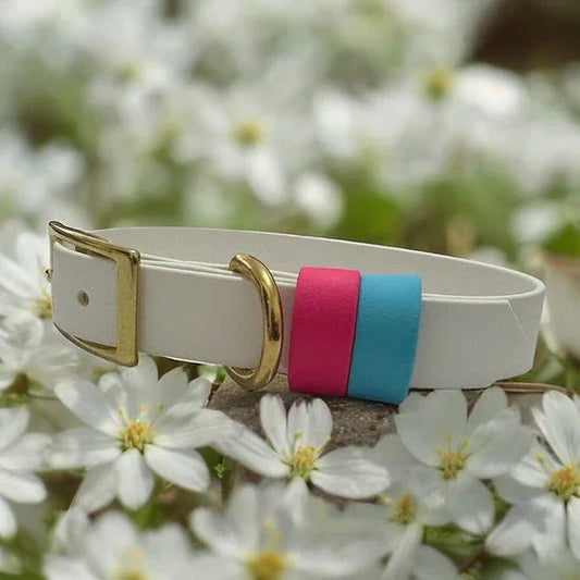 Classic Biothane with double keep - Handmade Classic Biothane Dog Collar | Luxury Home Accessories | Heulog Glow