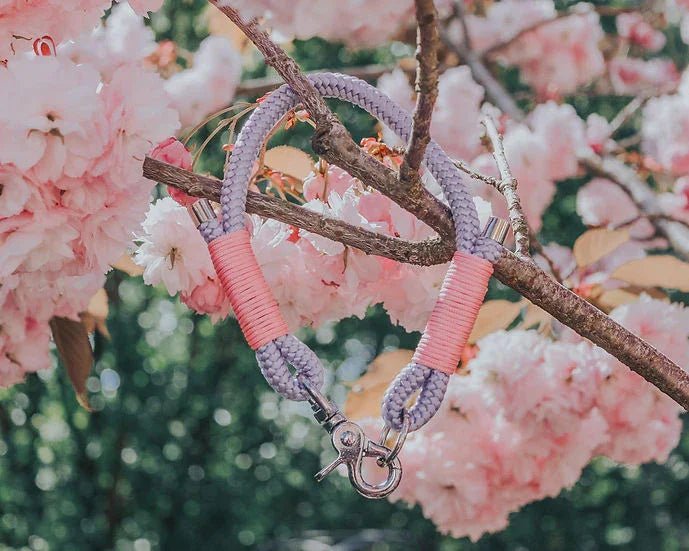 Clip Rope Collar - Handmade Paracord Dog Collar | Luxury Home Accessories | Heulog Glow