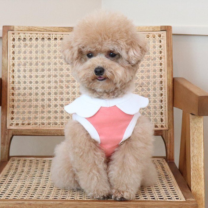 Cloud Embroidery Cute Soft Vest Dog Clothes | Luxury Home Accessories | Heulog Glow