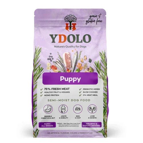 Complete Dog Food for Puppies - Healthy and Pure (10kg) | Luxury Home Accessories | Heulog Glow