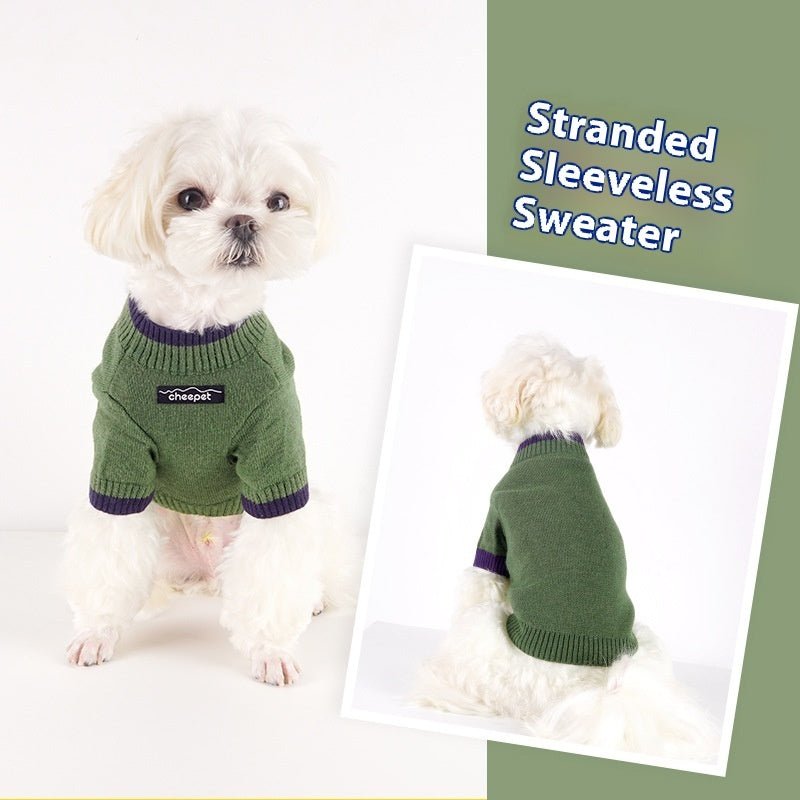 Contrast Color Two Legs Fall Winter Fashion Pet Sweater | Luxury Home Accessories | Heulog Glow