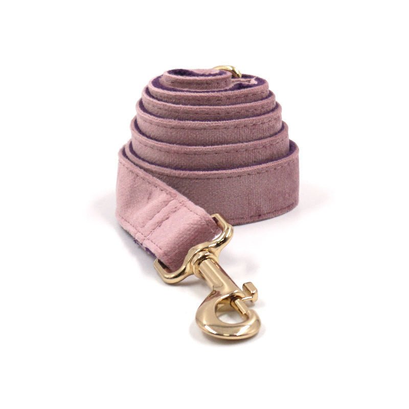 Creamy Coffee Velvet Dog Collar And Leash Set | Luxury Home Accessories | Heulog Glow