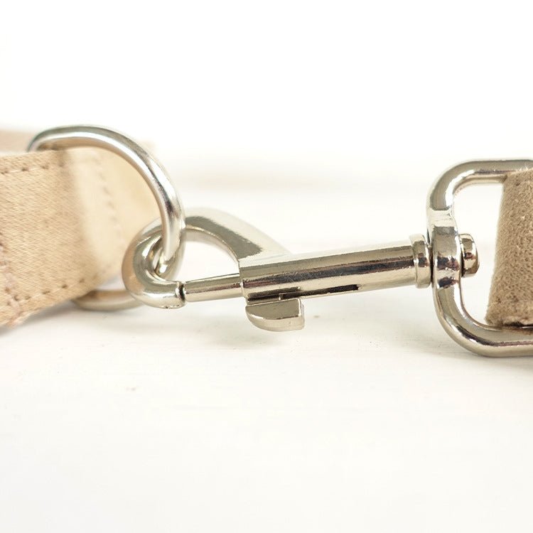 Creative design teddy dog leash | Luxury Home Accessories | Heulog Glow