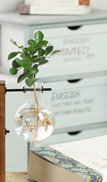Creative Wooden Glass Bottle Plant Vase | Luxury Home Accessories | Heulog Glow