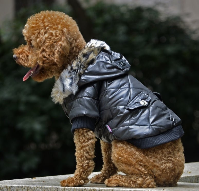 Cross-border pet supplies pet clothes dog clothes autumn and winter fur collar coat pet dog clothing | Luxury Home Accessories | Heulog Glow