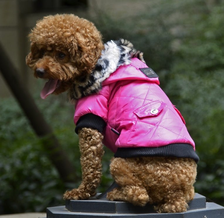 Cross-border pet supplies pet clothes dog clothes autumn and winter fur collar coat pet dog clothing | Luxury Home Accessories | Heulog Glow