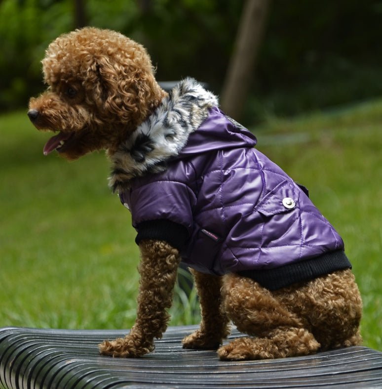 Cross-border pet supplies pet clothes dog clothes autumn and winter fur collar coat pet dog clothing | Luxury Home Accessories | Heulog Glow