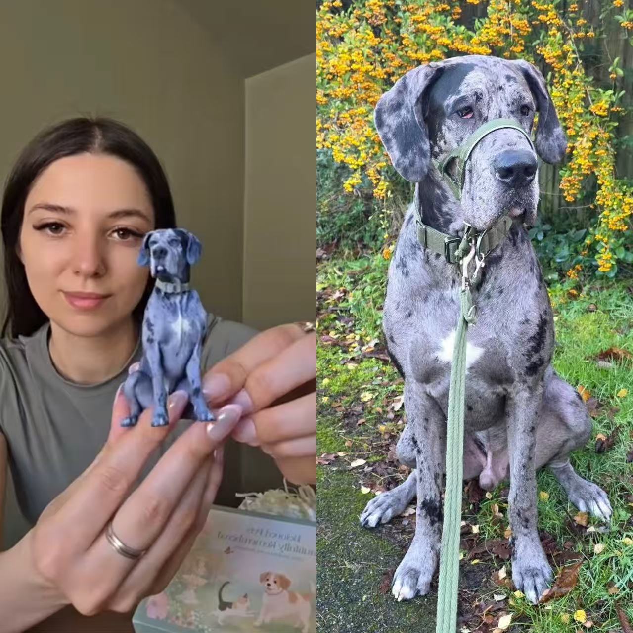 Custom Pet Sculpture Order | Handcrafted Dog & Cat Keepsake | Upload Your Photos | Luxury Home Accessories | Heulog Glow