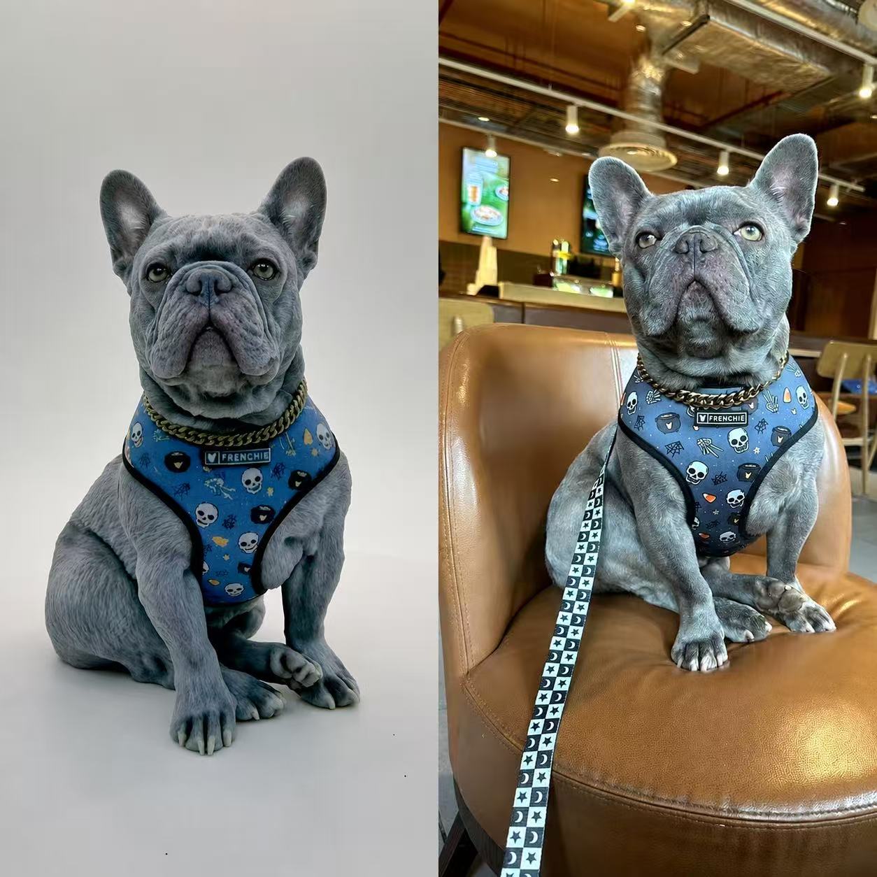Custom Pet Sculpture Order | Handcrafted Dog & Cat Keepsake | Upload Your Photos | Luxury Home Accessories | Heulog Glow
