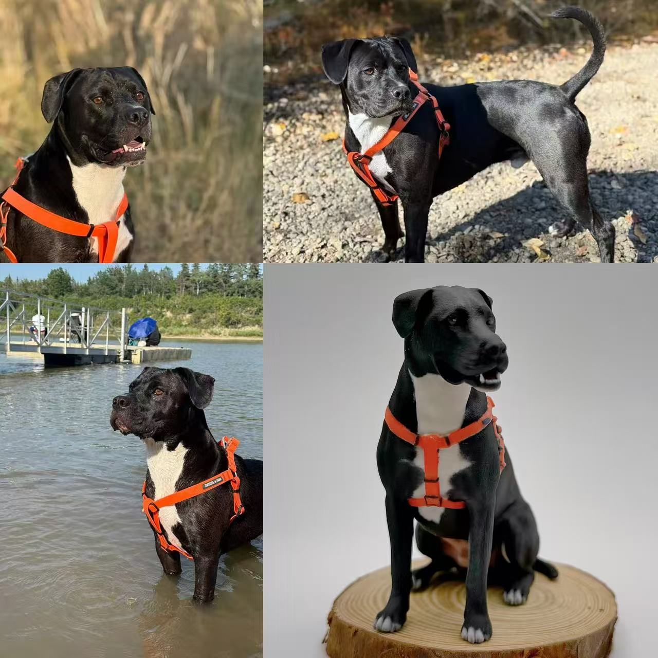 Custom Pet Sculpture Order | Handcrafted Dog & Cat Keepsake | Upload Your Photos | Luxury Home Accessories | Heulog Glow