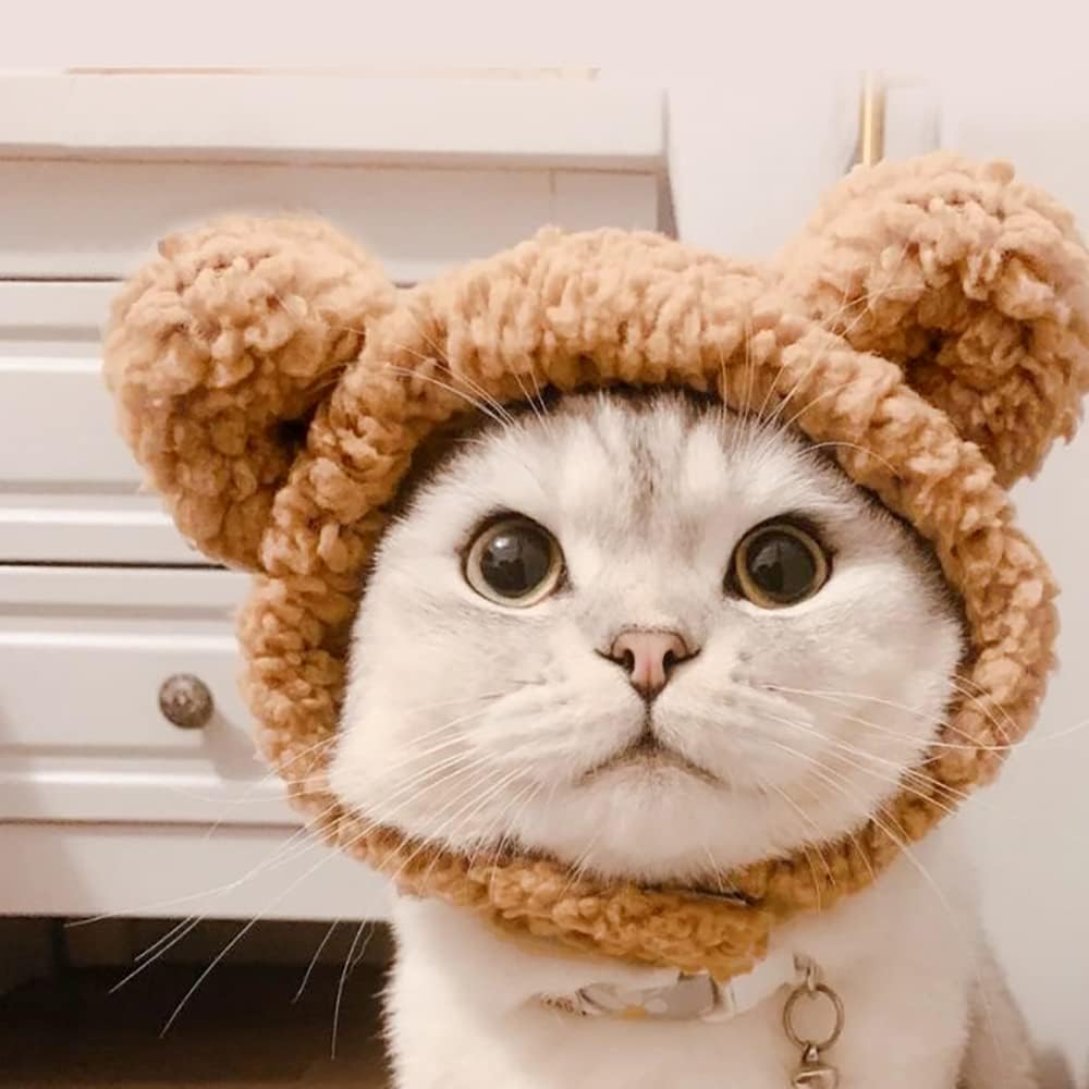 Cute Cat Costume Bear Hat For Cat Warm Soft Small Pet Headwear | Luxury Home Accessories | Heulog Glow