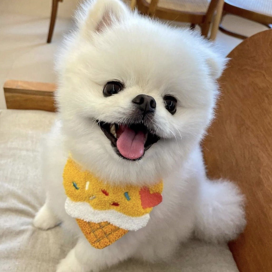 Cute Ice Cream Dog Bib Cat Pet Saliva Pocket Saliva Towel | Luxury Home Accessories | Heulog Glow
