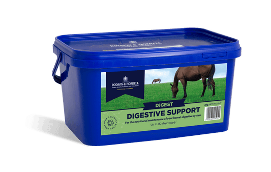 D & H Digestive Support | Luxury Home Accessories | Heulog Glow