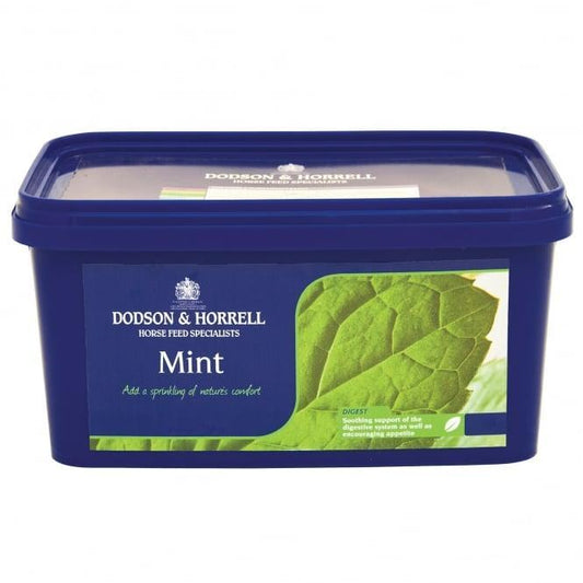 D & H Mint | Luxury Home Accessories | Heulog Glow