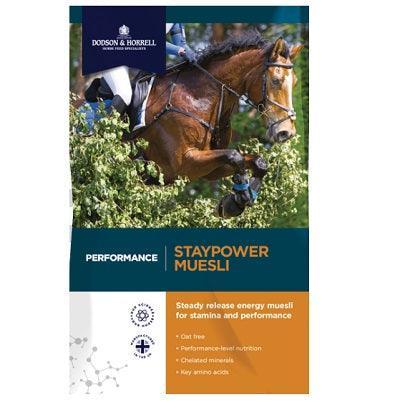 D & H Performance Staypower Muesli | Luxury Home Accessories | Heulog Glow