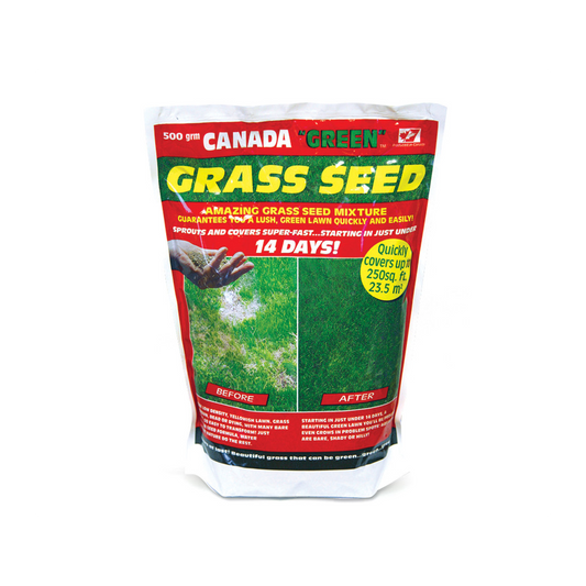 Canada Green Grass Seed 500g