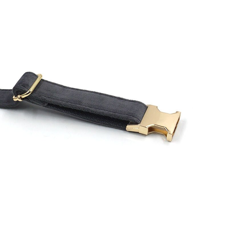 Dark Grey Velvet Pet Collar Lettering Metal Buckle | Luxury Home Accessories | Heulog Glow