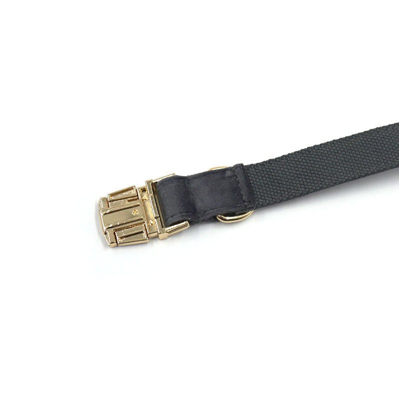 Dark Grey Velvet Pet Collar Lettering Metal Buckle | Luxury Home Accessories | Heulog Glow